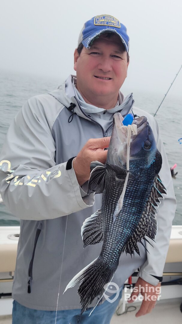 Dennis Report Photo 0