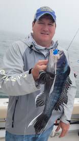 Black Sea Bass are here!