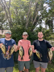 Fleming Island Report Photo 1
