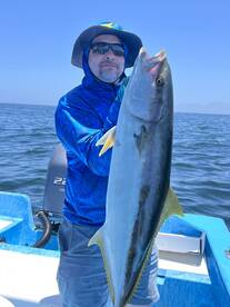 Yellowtail and Leopard Grouper