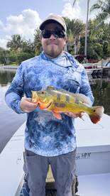 Delray Beach Report Photo 2