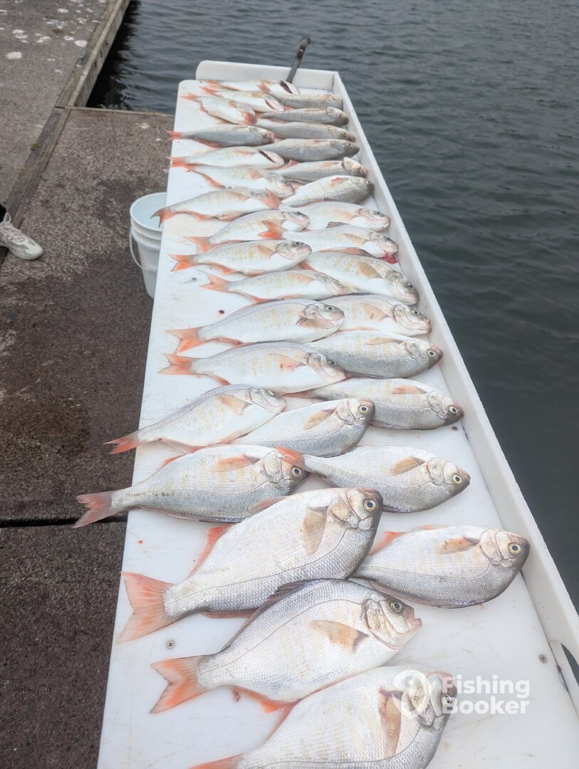 Winchester Bay Report Photo 0