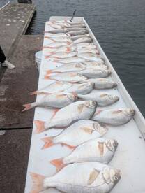Winchester Bay Report Photo 2