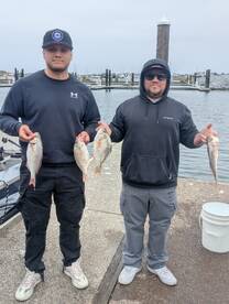 Winchester Bay Report Photo 1
