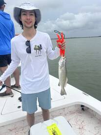 A Morning Brimming with Feisty Spotted T