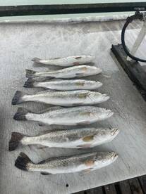Port Isabel Report Photo 2