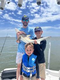 Hilton Head Island Report Photo 1