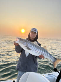 Striped Bass is about as good as it gets