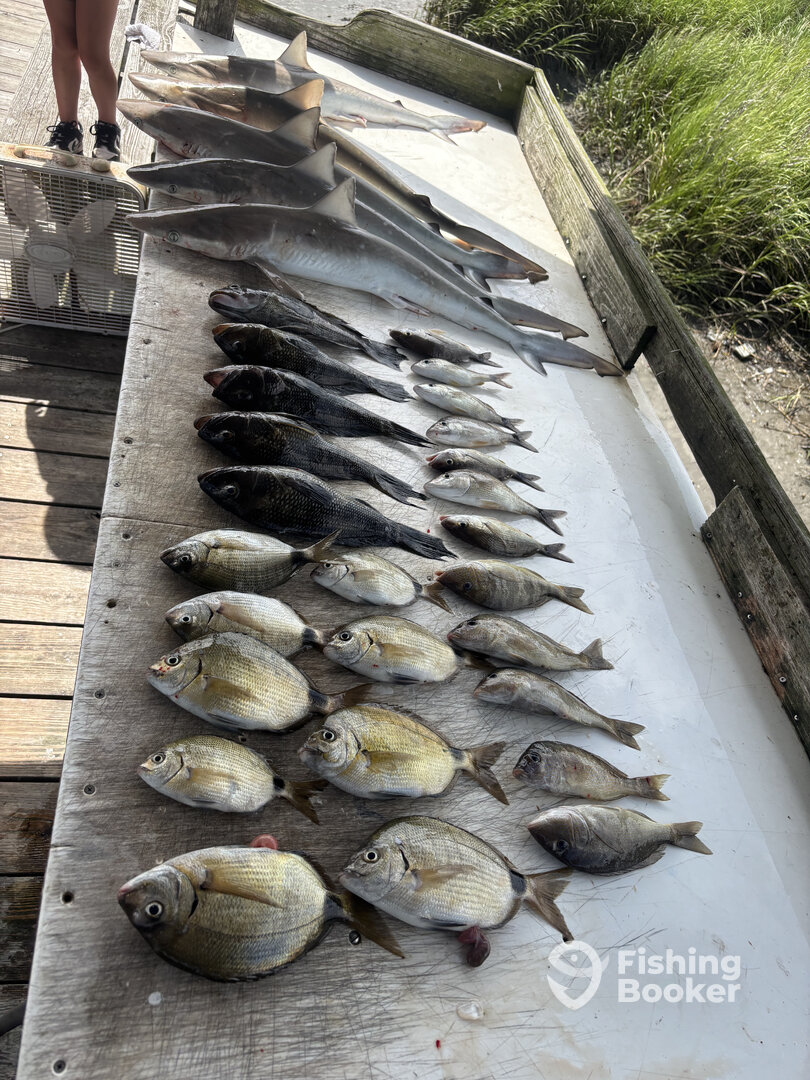 Calabash Report Photo 0