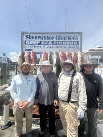 Biloxi Report Photo 1