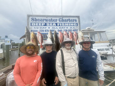 Biloxi Report Photo 2