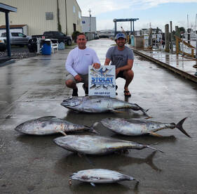 Wanchese Report Photo 1