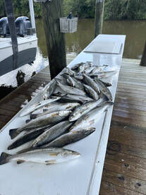 Hopedale, La.  The trout bite has been o