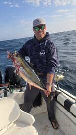 Cabo San Lucas Report Photo 2