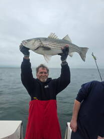 Barnstable Report Photo 3