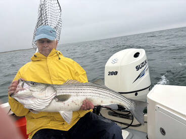 Barnstable Report Photo 1