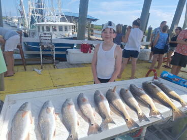Tybee Island Report Photo 2