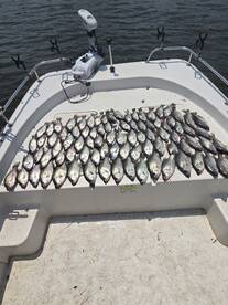 The actions like the summer heat 