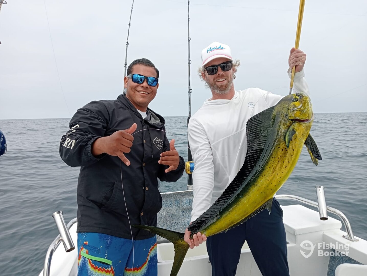 Puerto Vallarta Report Photo 0