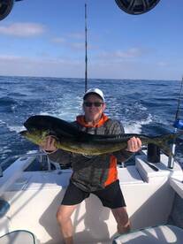 Puerto Vallarta Report Photo 1