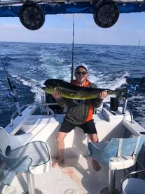 Puerto Vallarta Report Photo 2