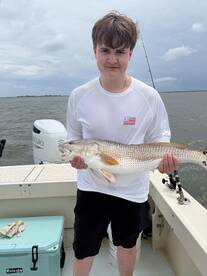 Great drum fishing