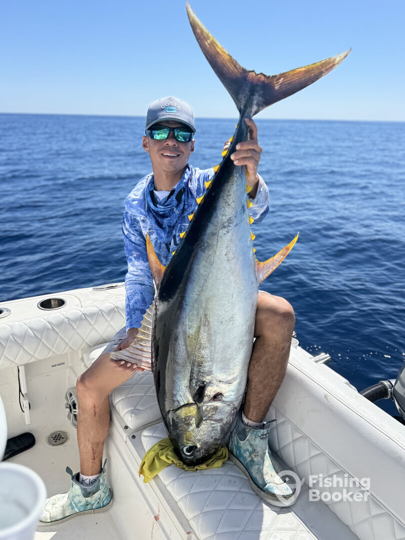 San Jose del Cabo Report Photo 0