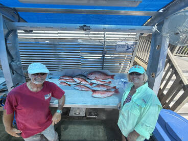 Big Snapper