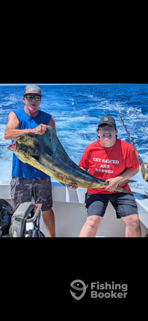 Mahi