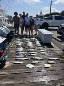 Manteo Report Photo 1