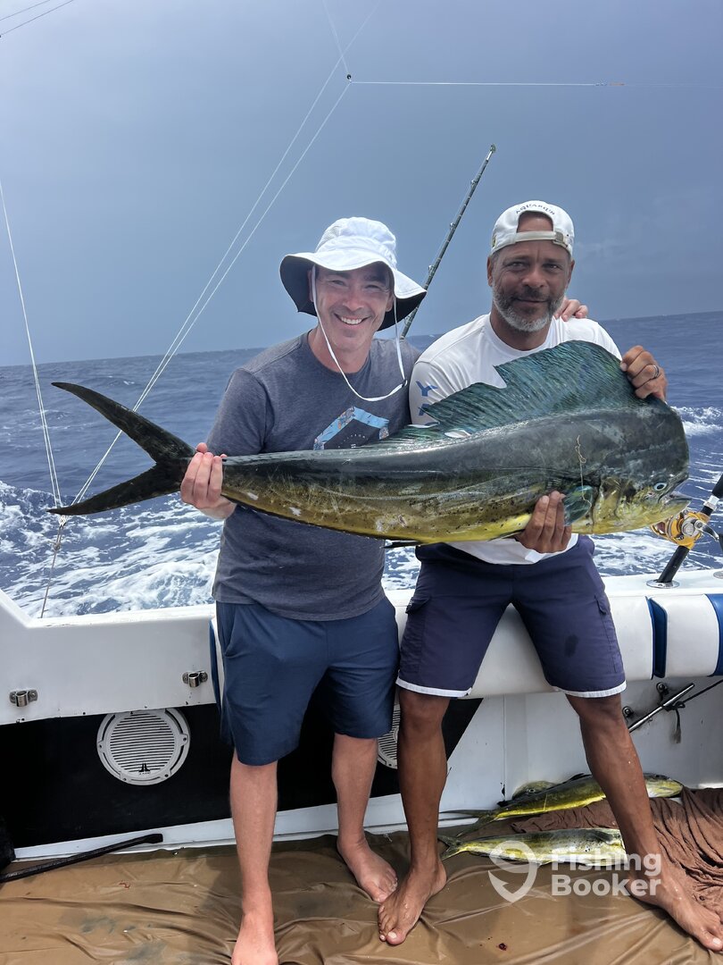 Ocho Rios Report Photo 0