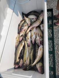 This is a preview of what you can expect