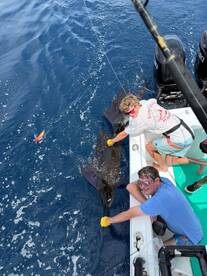 7 Sailfish 