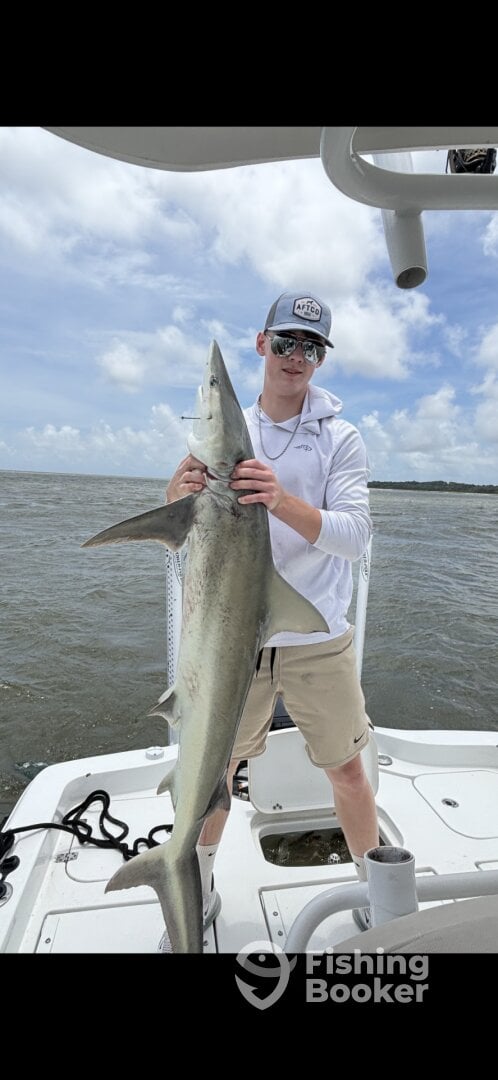 Hilton Head Island Report Photo 0