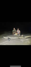 Destin Report Photo 1
