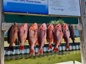 Destin Report Photo 1