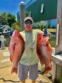 Red Snapper 