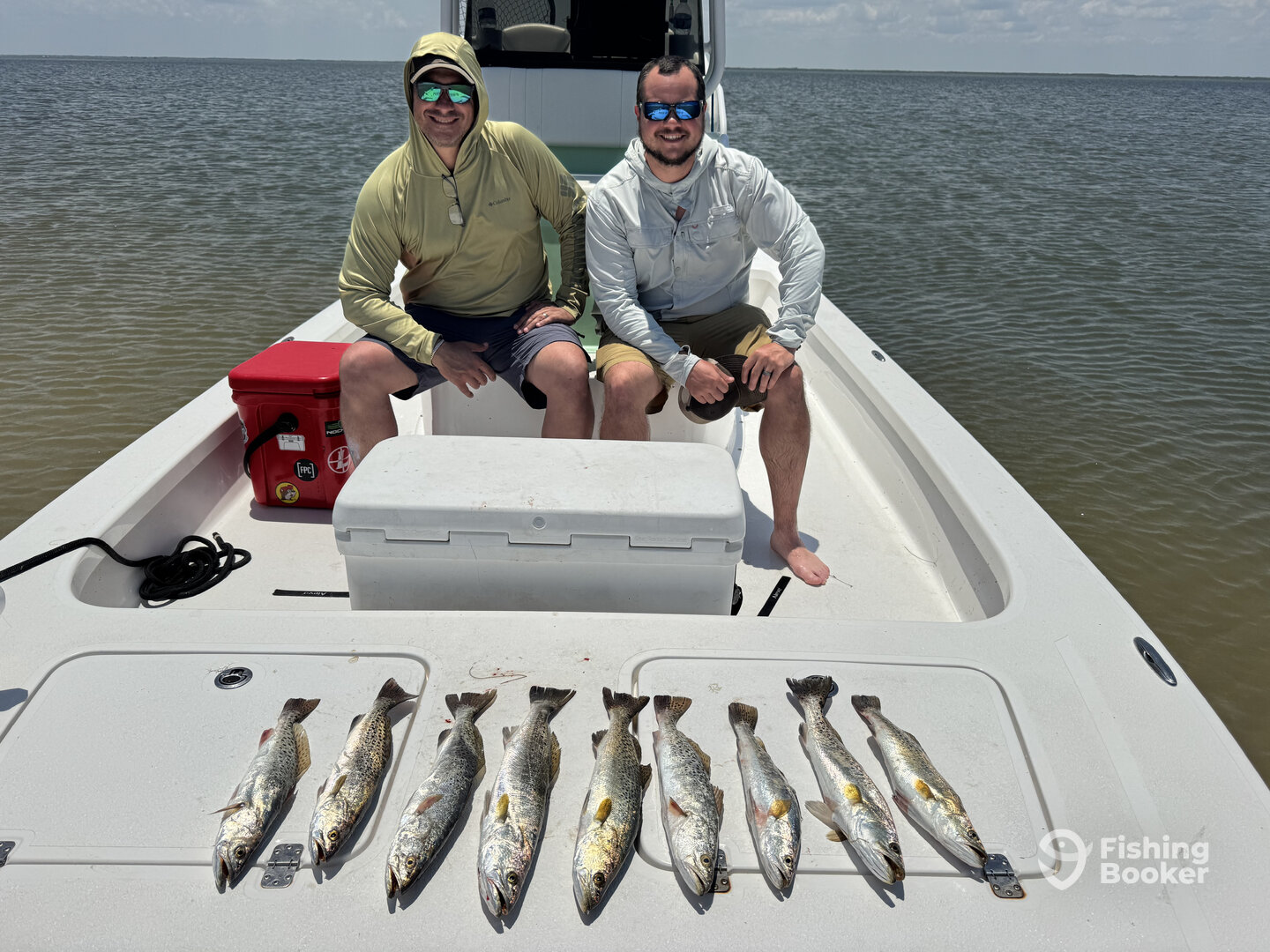 Corpus Christi Report Photo 0