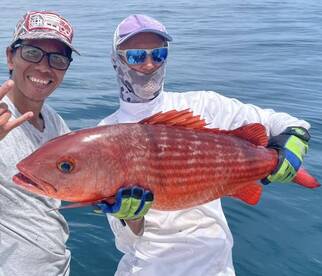 Big mullet snappers!