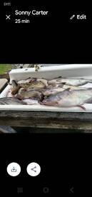 Catfish Capitol of Texas Lake Tawakoni