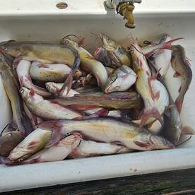 West Tawakoni Report Photo 2