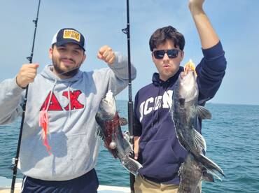 Sea Bass Fishing in full swing!