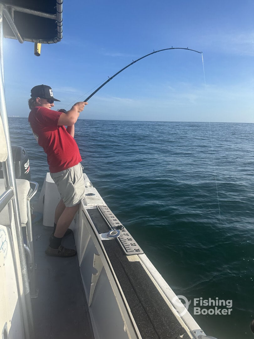 Port Orange Report Photo 0
