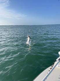 Boca Grande Report Photo 2