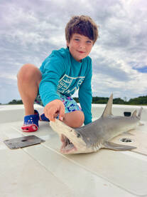 Edisto Beach Report Photo 2