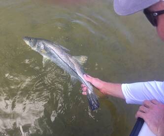 Rain or Shine, it's Fishing Time!