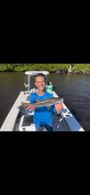 Sea trout bite is on fire   