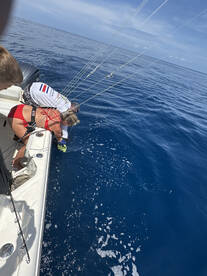 2 Trophy Sailfish โฆ. 100โ and 144โ