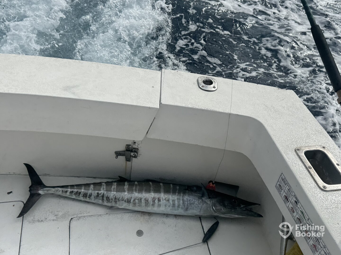 Treasure Coast Report Photo 0