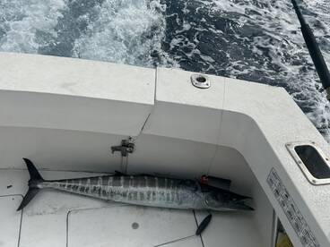Jupiter Inlet Report Photo 1